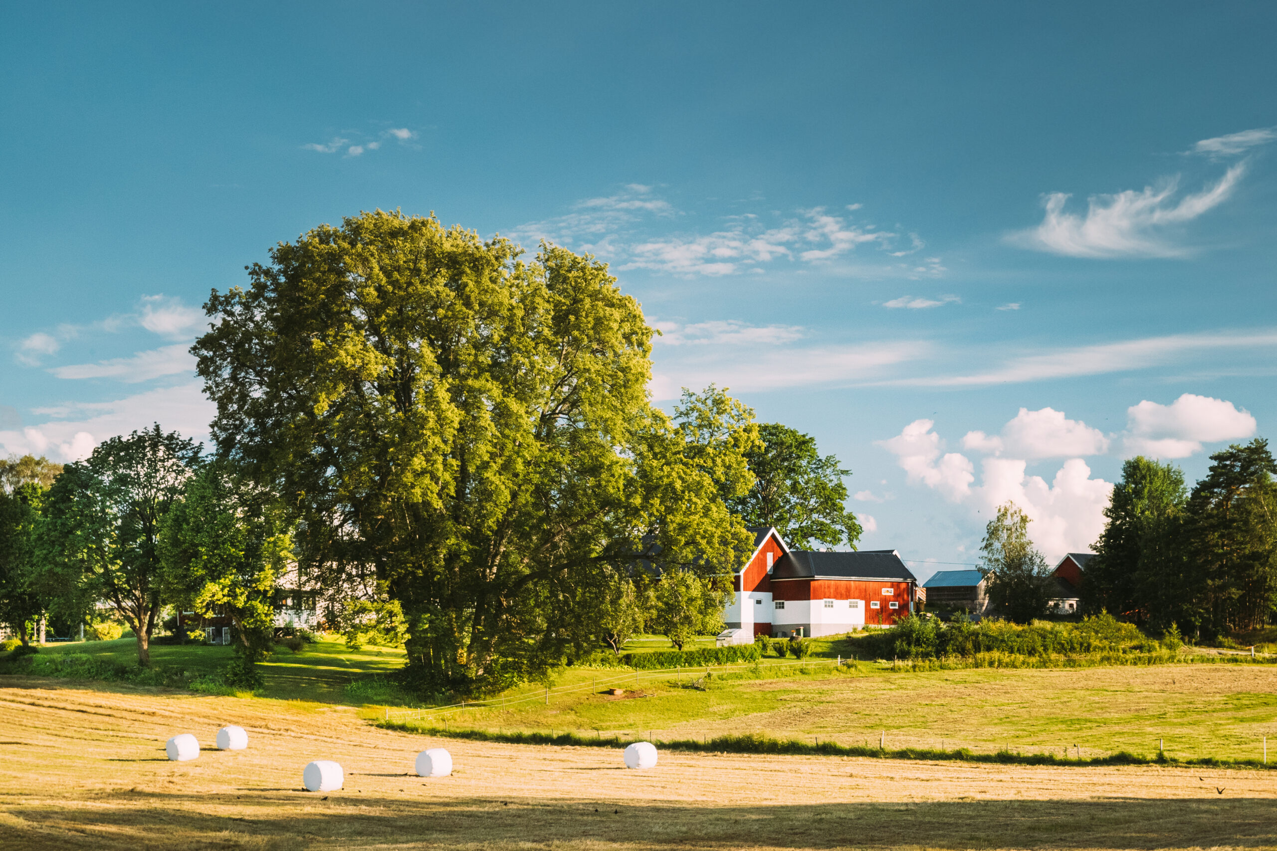 Energieffektivisering
